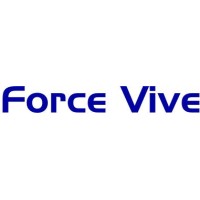 FORCE VIVE CONSEIL logo - Similar company to We Jump Studio
