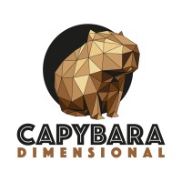 Capybara Dimensional logo - Similar company to Wl Techniek