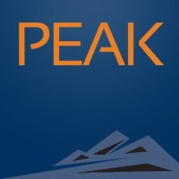 Peak Technologies logo - Similar company to Voree It Solutions