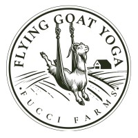 Flying Goat Yoga logo - Similar company to Mindful Monkey Education