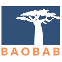 BAOBAB Technical Services logo - Similar company to Kiri Logistics