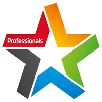 Professionals Queenstown logo - Similar company to Ray White Queenstown