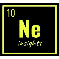 Neon Insights Consulting