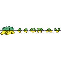 CCORAV - Consorzio Cooperativo Ortofrutticolo Alto Viterbese logo - Similar company to Devrooms