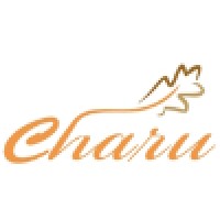 Charu Overseas logo - Similar company to Charu Mindworks