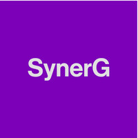 SynerG Ltd logo - Similar company to Dataseer Inc.