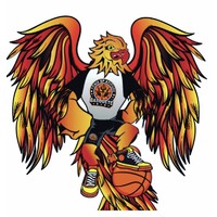 Fênix SP/ Atitude Basquete
