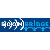 BoomBridge Education logo - Similar company to Treasurebeam, Inc.