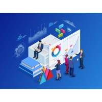Data Driven Growth logo - Similar company to Wikie Projects