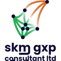 SKM GXP CONSULTANT LTD logo - Similar company to Gxp Conseil
