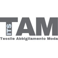 ITS TAM logo - Similar company to Xlance