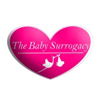 The Baby Surrogacy - Beyond fertility legal services logo - Similar company to Birth Beat