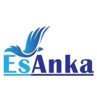 ESANKA HOME&KITCHEN APPLIANCES LTD. logo - Similar company to Orkli Do Brasil