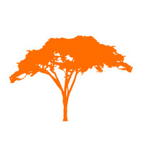 Acácia Marketing Digital logo - Similar company to Setter