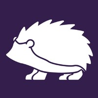 Kirpi logo - Similar company to Caleido-Scop