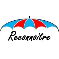 Reconnoitre logo - Similar company to Digital View | Digital Billboards & Signage | Aruba