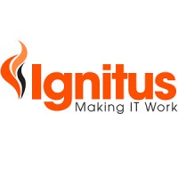 Ignitus Limited logo - Similar company to Ignitus