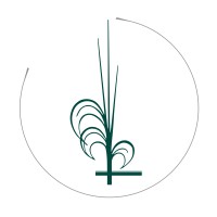 LINEA VERDE NICOLINI srl 🍃 logo - Similar company to Arkproject