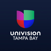 Univision Tampa Bay logo - Similar company to Lemoshe