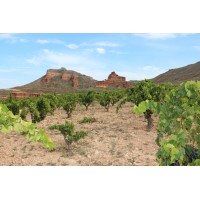 Majuelos Iberia SL logo - Similar company to Vinos & Bodegas S.A. Grape Juice & Wine