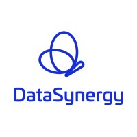 DataSynergy logo - Similar company to Ivox
