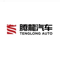 Xiangyang Tenglong Automobile Co., Ltd logo - Similar company to Duoyuan Automobile Equipment Co., Ltd.