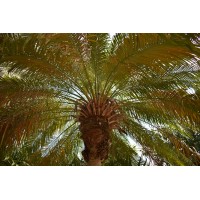 Florida Keys IT Consulting LLC