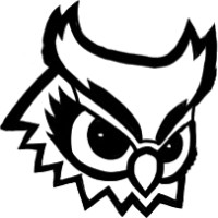 Black Owl Tech, a Technowledgeable Company logo - Similar company to Twigel.Tech
