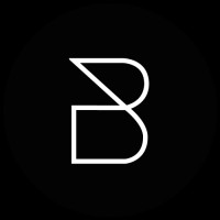 Borosa Group logo - Similar company to Bodes Studio