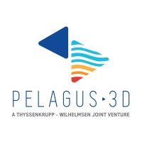 Pelagus 3D logo - Similar company to Biesterfeld Norge As