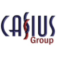 Cassius Group logo - Similar company to Scratch Software Solutions