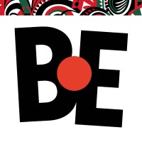 Basketball Experience Kenya logo - Similar company to Dbx Engine