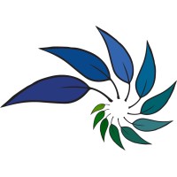 Custom Learning Academy