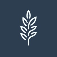 Romulus Media logo - Similar company to Opal, Llc.