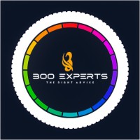 300 Experts logo - Similar company to Webtech Solutions