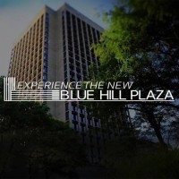 Blue Hill Plaza logo - Similar company to Lcm247