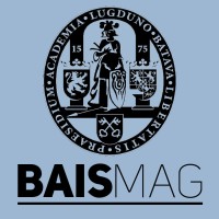 BAISmag logo - Similar company to Meesterbakker Voskamp