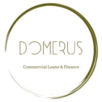 Domerus LLC logo - Similar company to Every Second Accounts