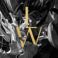 Larry Walshe Studios | World-Class Floral & Event Designers | London, France, Italy, & NYC logo - Similar company to خانه گل گلوریا