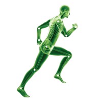 Tri-Valley Orthopedic Specialists Inc. logo - Similar company to New Horizons Wellness Services