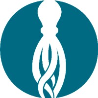 Octopus Solutions logo - Similar company to Octopus Data Solutions