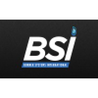 Burner Systems International logo - Similar company to Burner Combustion Systems, Llc