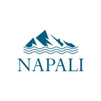 Napali logo - Similar company to Lumni