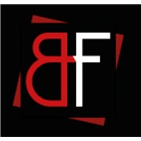 BigFrame Solutions India Pvt. Ltd. logo - Similar company to Artificial Visual Labs Pvt. Ltd.