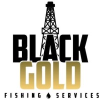 Black Gold Fishing Services LTD logo - Similar company to Rapid Downhole Technologies