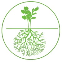 Vegit logo - Similar company to Veg It