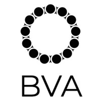 Buena Vista Angels logo - Similar company to Third Pillar Marketing Group, Llc