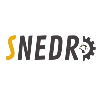 Snedro-Solutions logo - Similar company to Nodka Automation Technology
