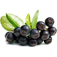 BIO Aronia Farm logo - Similar company to Perspolish