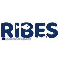 RIBES logo - Similar company to Aeonis Gmbh